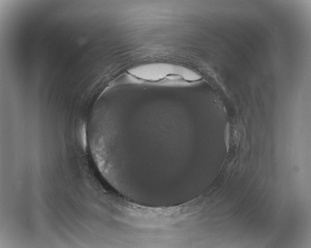 X0000062800027200601051123
