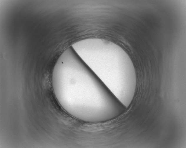 X0000062800029200601051123