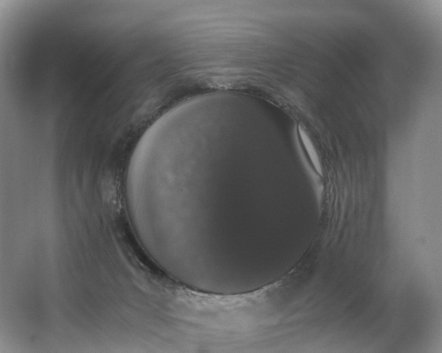 X0000062800031200601051123