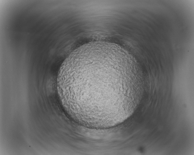 X0000062800034200601051123