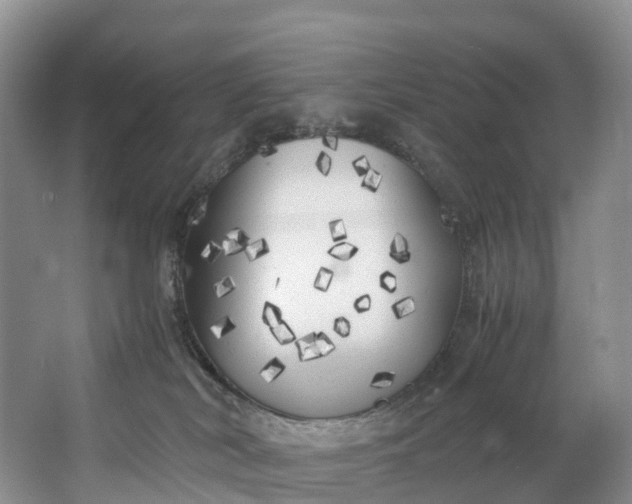 X0000062800038200601051123