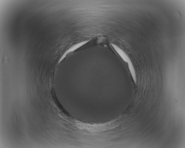 X0000062800039200601051123