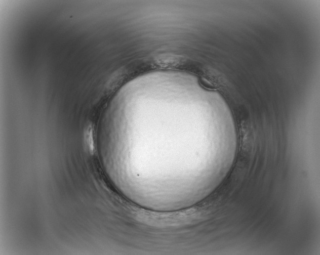X0000062800042200601051123
