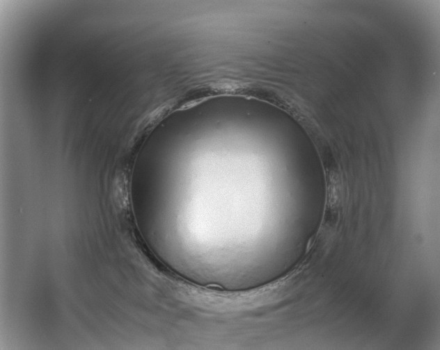 X0000062800043200601051123