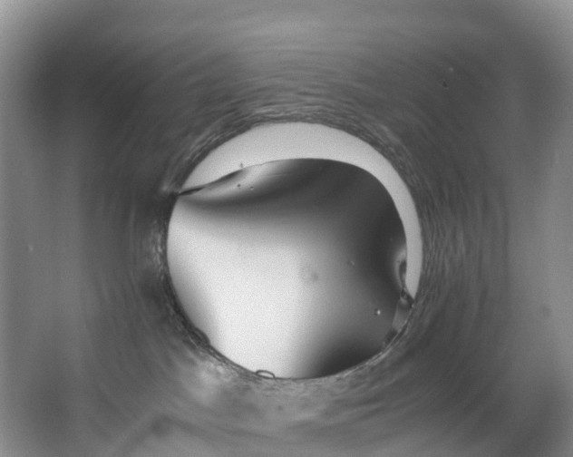 X0000062800045200601051123