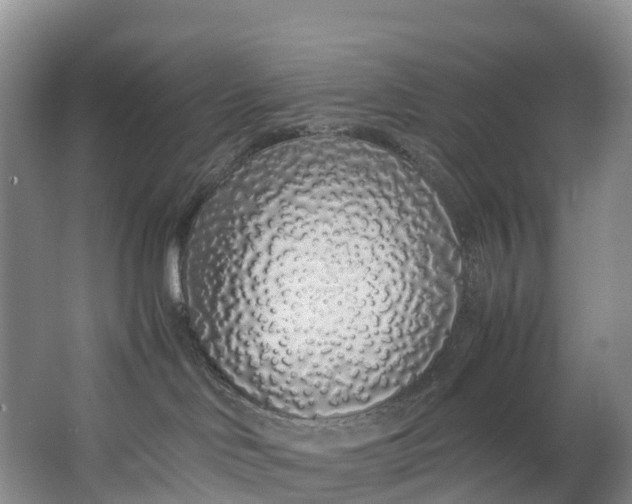 X0000062800046200601051123