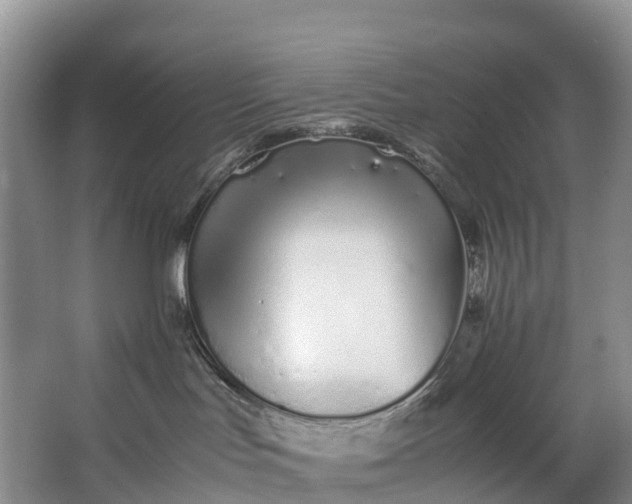 X0000062800047200601051123