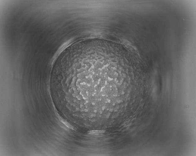 X0000062800051200601051122