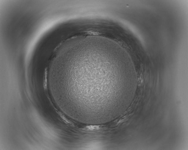 X0000062800052200601051122
