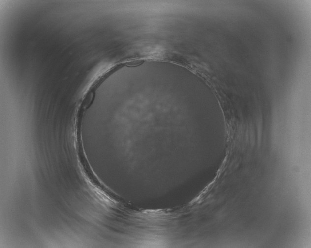 X0000062800054200601051122