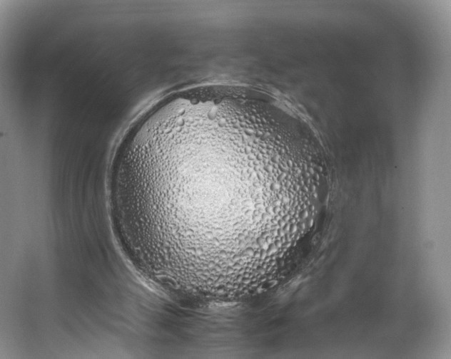 X0000062800055200601051122