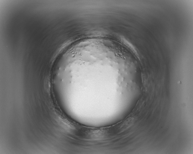 X0000062800059200601051122