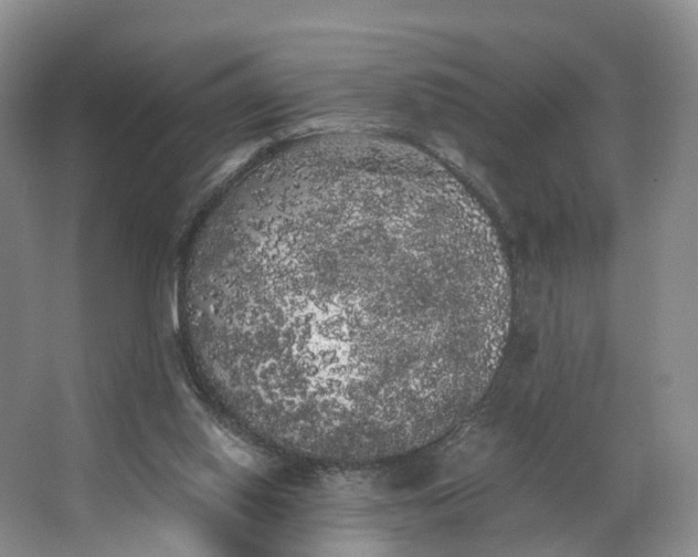 X0000062800062200601051122