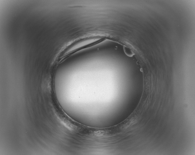 X0000062800064200601051122