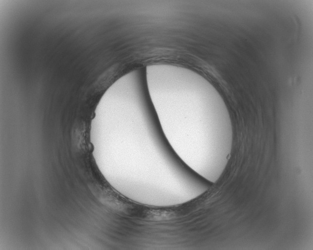 X0000062800073200601051123