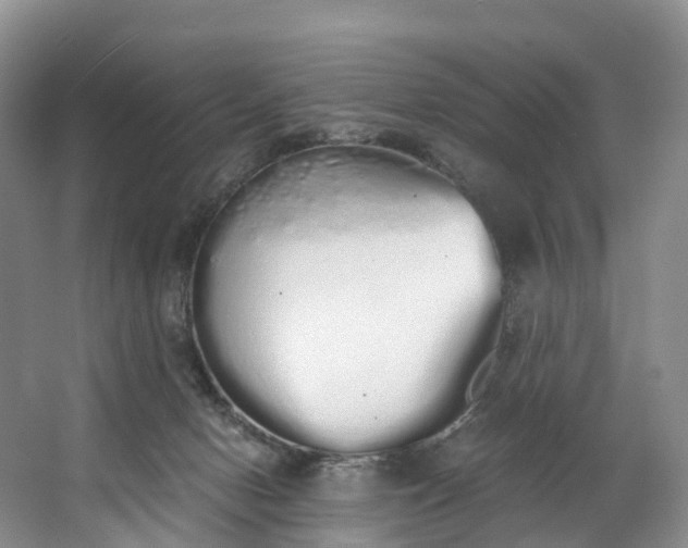 X0000062800078200601051123