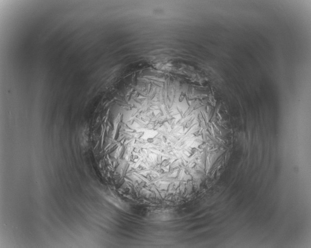 X0000062800081200601051123