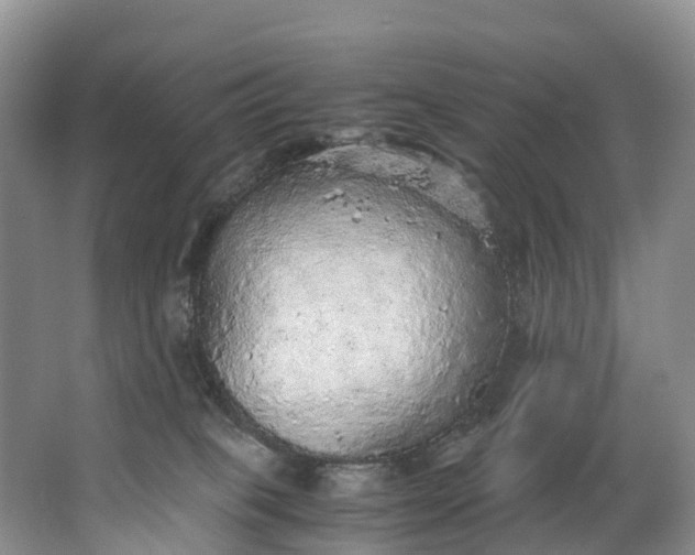 X0000062800085200601051123