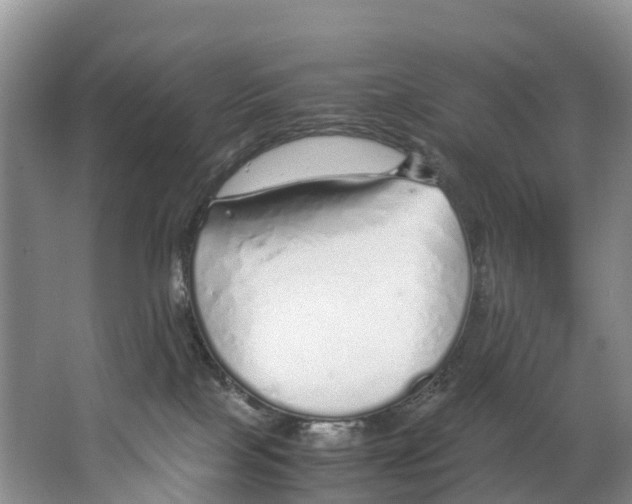X0000062800089200601051123