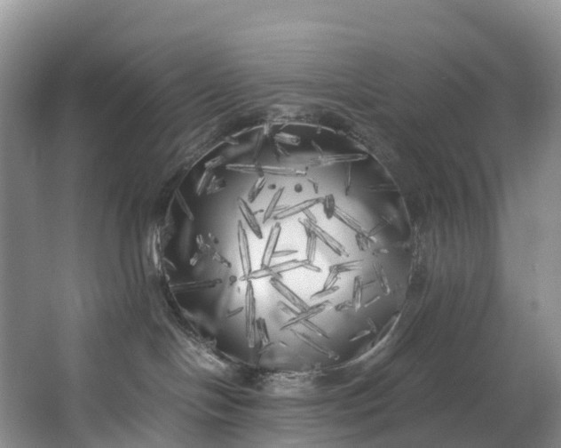 X0000062800094200601051123