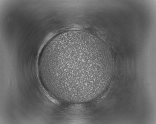 X0000062800102200601051122