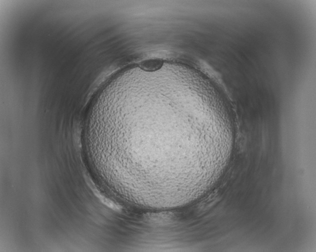 X0000062800106200601051122