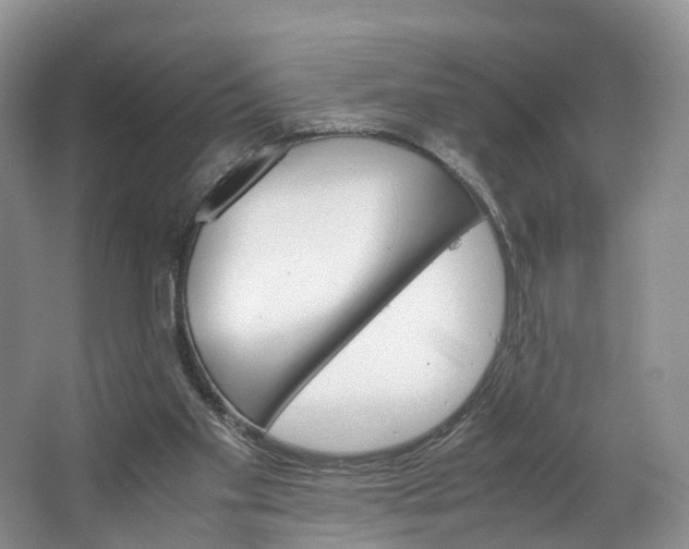 X0000062800109200601051122