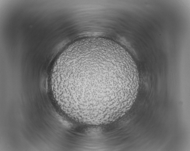 X0000062800110200601051122