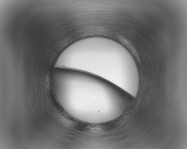 X0000062800113200601051122