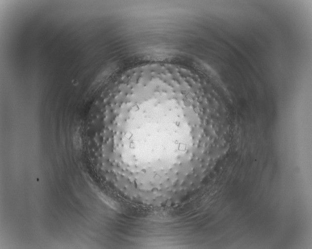 X0000062800114200601051122