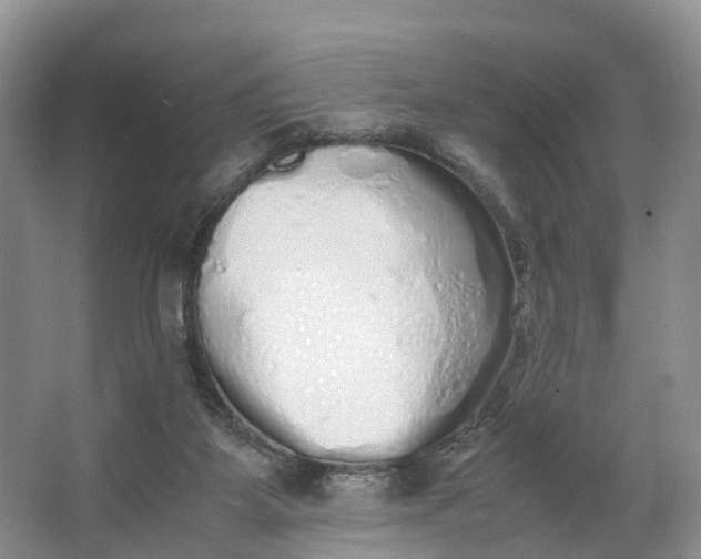 X0000062800115200601051122