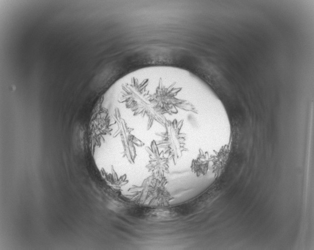 X0000062800123200601051122