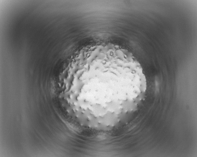 X0000062800130200601051122