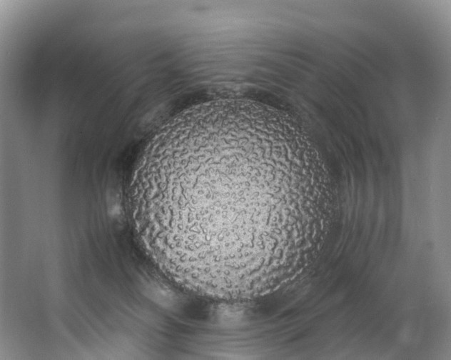 X0000062800134200601051121