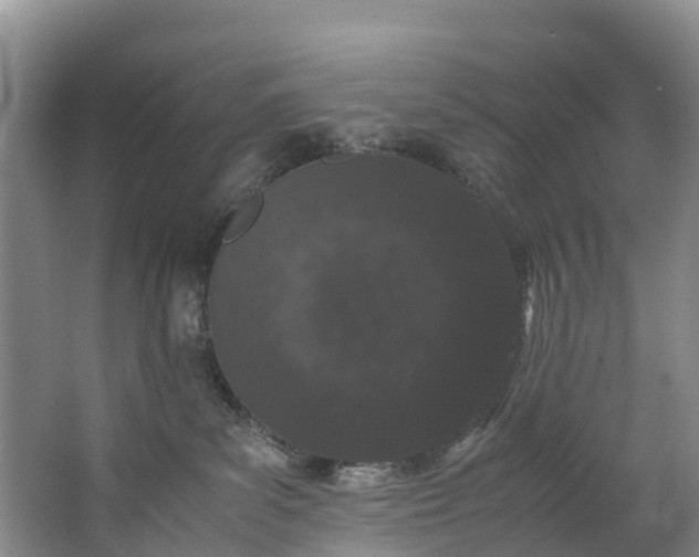 X0000062800139200601051121