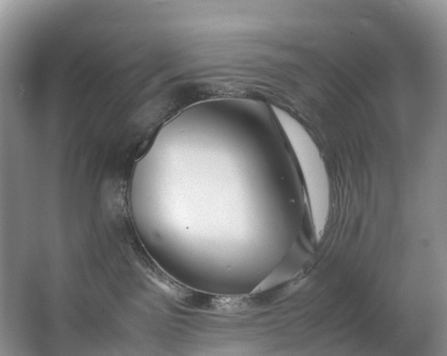 X0000062800141200601051121