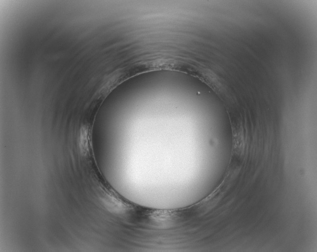 X0000062800142200601051121