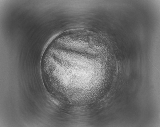 X0000062800147200601051121