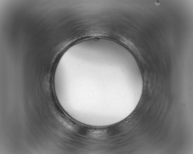 X0000062800155200601051121