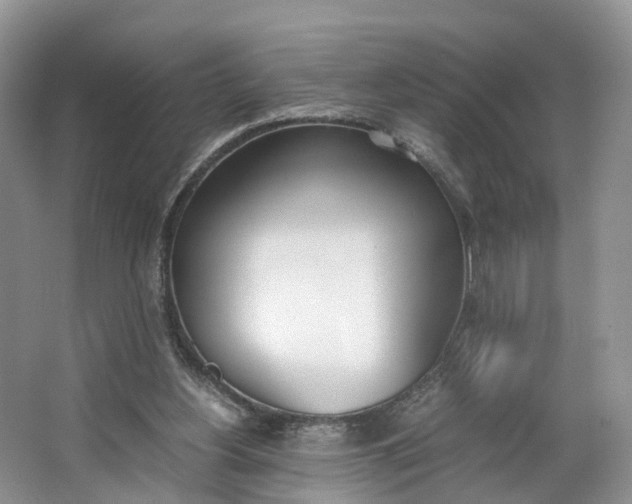 X0000062800156200601051121