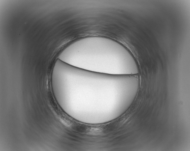 X0000062800157200601051121