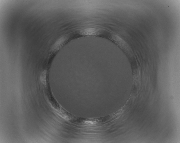 X0000062800167200601051121