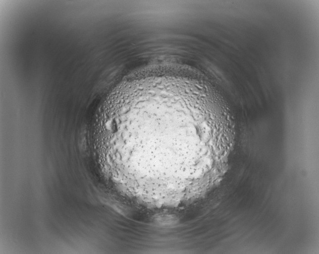 X0000062800169200601051121