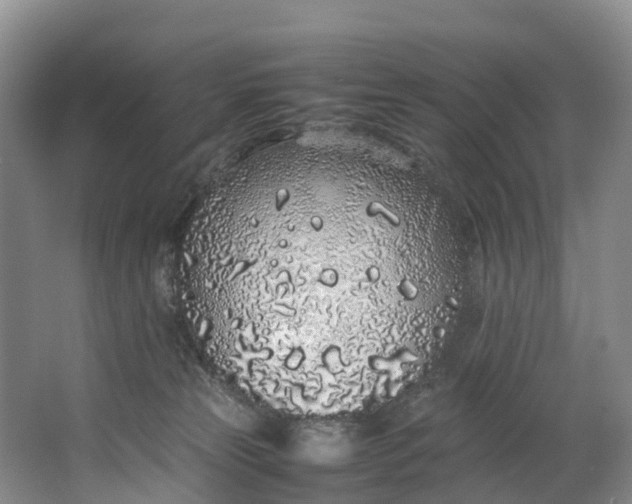 X0000062800181200601051121
