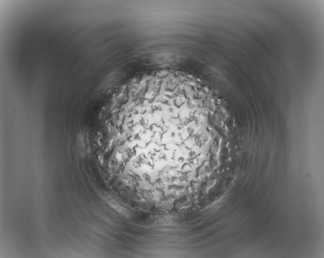X0000062800182200601051121