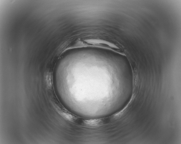 X0000062800191200601051121