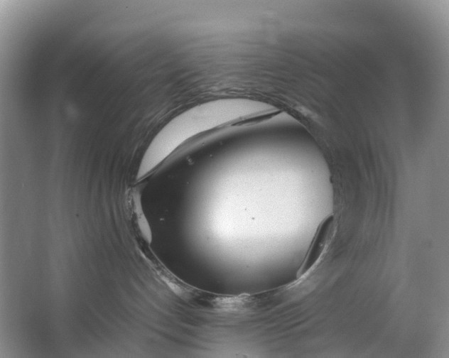 X0000062800192200601051121