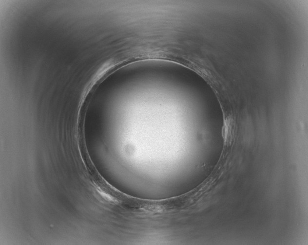 X0000062800195200601051120