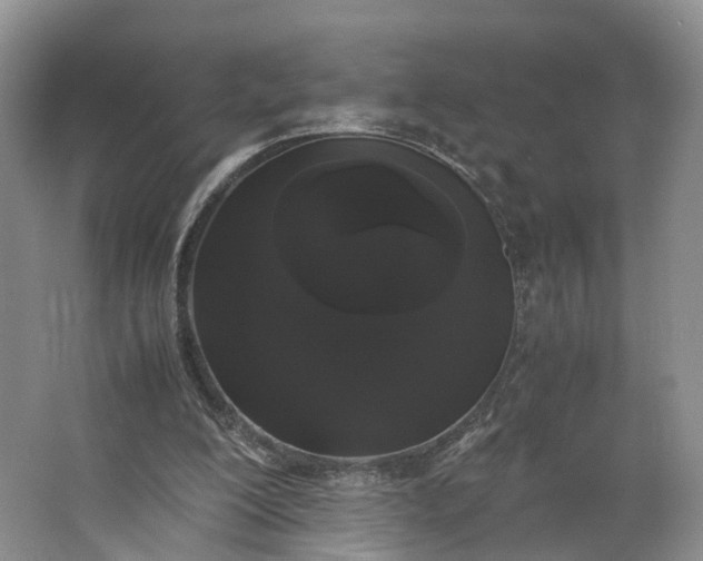 X0000062800200200601051120