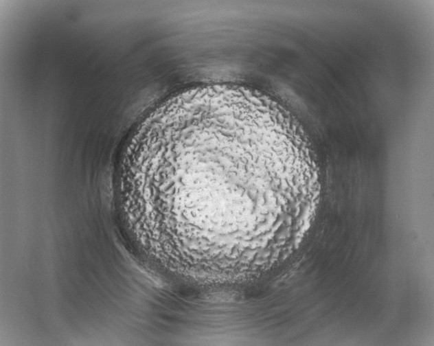 X0000062800202200601051120